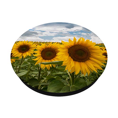 Sunflower Pop Socket PopSockets PopGrip: Swappable Grip for Phones & Tablets